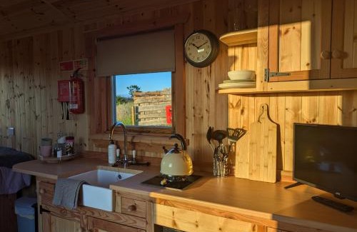 Rhyd-y-clafdy House | Hafan Gelli Sheperds Hut - Enlli