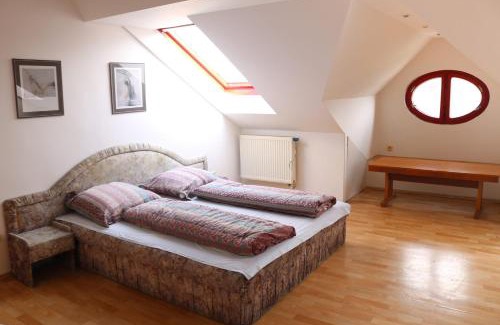 Opava Apartment | Hajirna