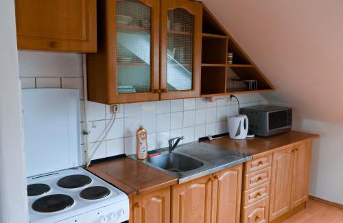 Opava Apartment | Hajirna
