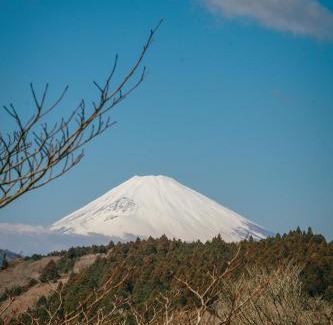 Hakone House | Hakone Fujimi 箱根富士見 富士山を望む