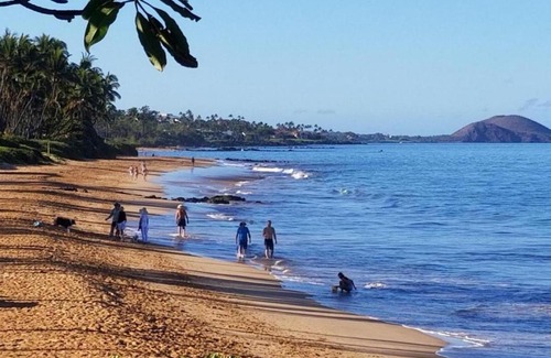 Kihei House | Hale Kamaole 213