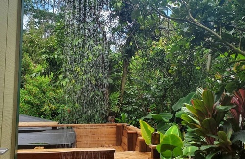 Leilani Estates House | Hale Leilani Your Tropical Oasis