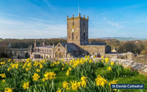 St Davids House | Halfways