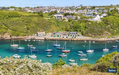 St Davids House | Halfways