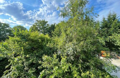 Garden Suburb Apartment | Hampstead 4-bedrooms condo apartment