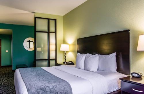 Tampa Hotel | Hampton Inn by Hilton Tampa Fairgrounds Casino