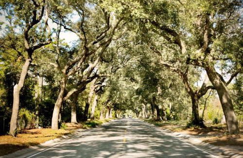 Northeast Pensacola Hotel | Hampton Inn Pensacola-Airport