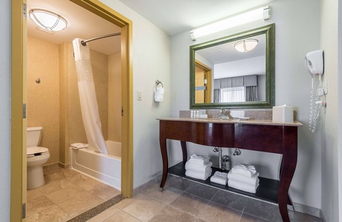 Kissimmee Hotel | Hampton Inn & Suites Orlando-South Lake Buena Vista
