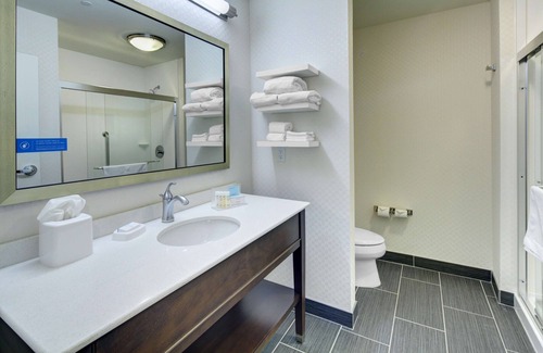 Roanoke Hotel | Hampton Inn & Suites Roanoke-Downtown
