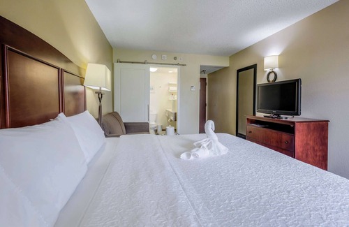 Westshore Hotel | Hampton Inn Tampa-International Airport/Westshore