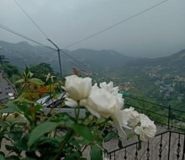 The Mall Road Hotel | Hamton Villa Retreat