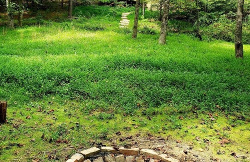 Alexander House | Hand built Forest DomenPeaceful & unique glamping experience w/all essentials