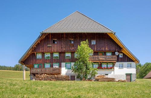 Titisee-Neustadt Apartment | Hanisenhof