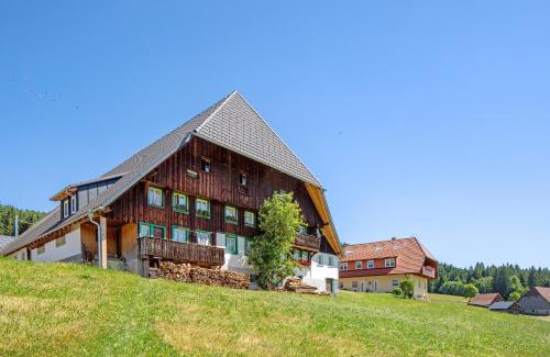 Titisee-Neustadt Apartment | Hanisenhof