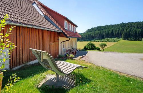 Titisee-Neustadt Apartment | Hanisenhof