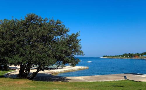 Lovrecica Resort | Happy Camp Mobile Homes in Camping Park Umag