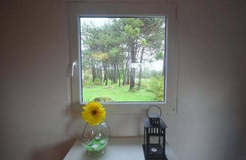 Sao Martinho do Porto House | Happy Cat House - Holiday Rental