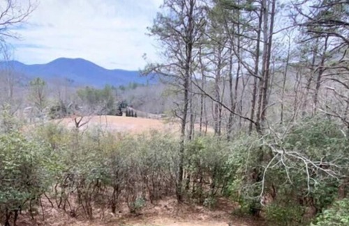 Hiawassee Cabin | Happy Hideaway Cabin