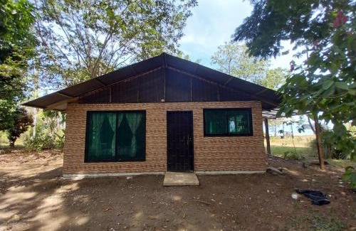 Puerto Jimenez House | Happy Monkeys