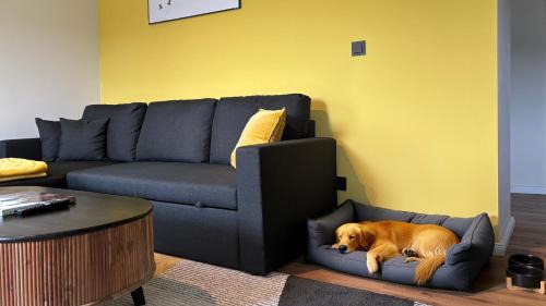 Plettenberg Apartment | Happy Place am Waldrand