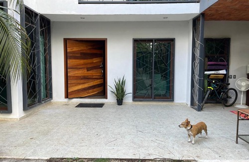 Mario Villanueva Madrid House | HappyNest