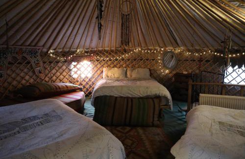 Abergele House | Hapus Yurt - Two Beautiful Yurts and Barn Cottage