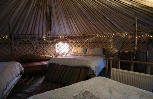 Abergele House | Hapus Yurt - Two Beautiful Yurts and Barn Cottage