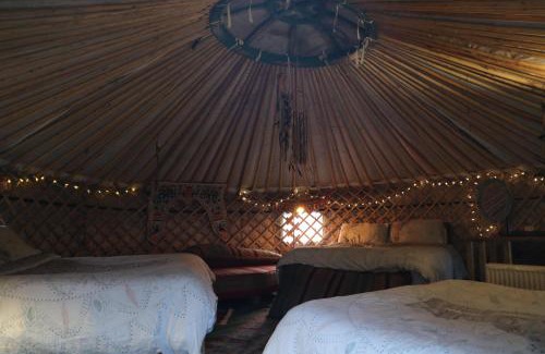 Abergele House | Hapus Yurt - Two Beautiful Yurts and Barn Cottage