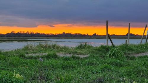 Pagham Other | Harbour Escape - Church Farm