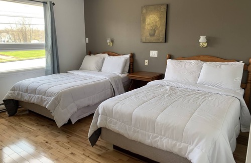 Sydney Hotel | Harbourview Inn, SureStay Collection by Best Western