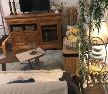 Miplaine Apartment | Harmony of Nature - 4 pers - Near Eurexpo and Groupama Stadium