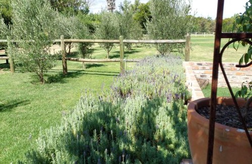 Oudtshoorn Villa | Hartland Garden Suite