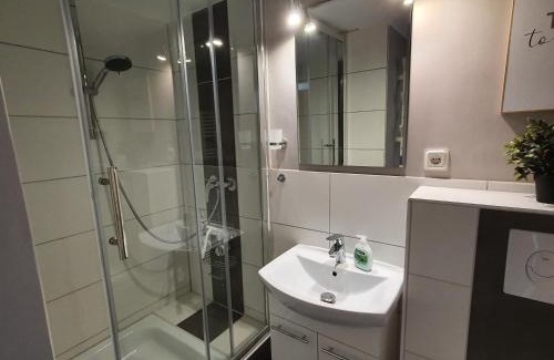 Hahnenklee Apartment | Harz Dream - Vier Jahreszeiten