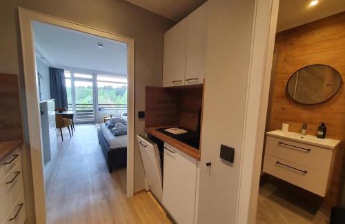 Hahnenklee Apartment | Harz Enjoy - Vier Jahreszeiten