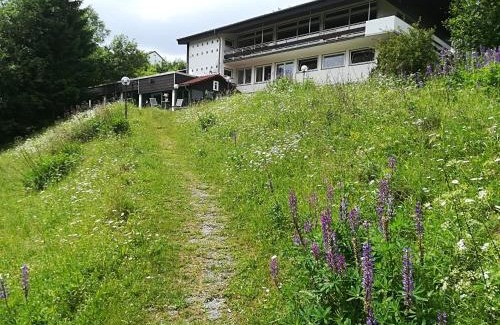 Schulenberg im Oberharz Apartment | Harz-See-Lodge