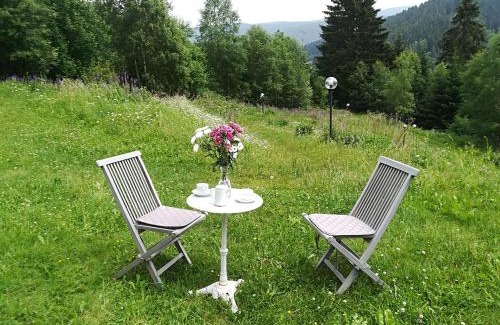 Schulenberg im Oberharz Apartment | Harz-See-Lodge