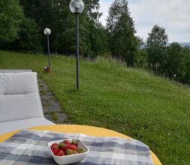 Schulenberg im Oberharz Apartment | Harz-See-Lodge