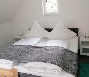 Wildemann House | Harz-Tiny DAN291
