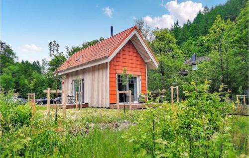 Wildemann House | Harz-Tiny DAN291