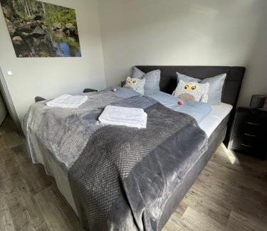 Braunlage Apartment | Harzer Traum - renoviert, inklusive Wäsche und WLAN