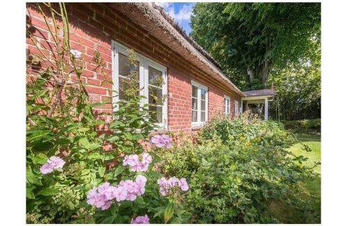 Steinbergkirche House | Hasenhaus Comfortable holiday residence