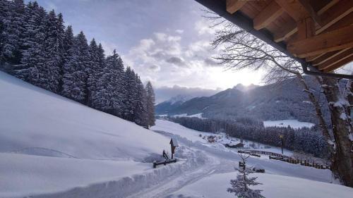 Villabassa Apartment | Haubenthal