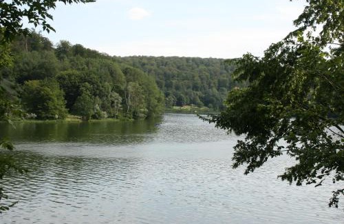 Bad Arolsen Resort | Haus 114 - Nurdachhaus -