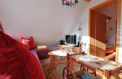Hainsberg Apartment | Haus Am Waldrand