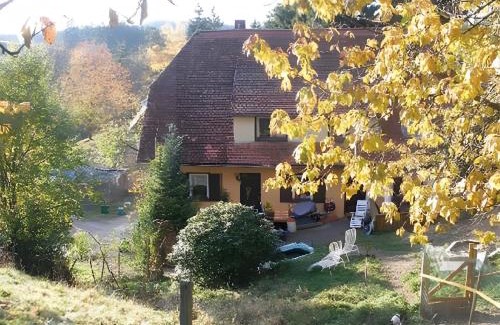 Triberg im Schwarzwald House | Haus Antonis