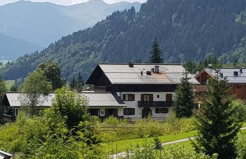 Hinterthal Apartment | Haus Sonnleiten