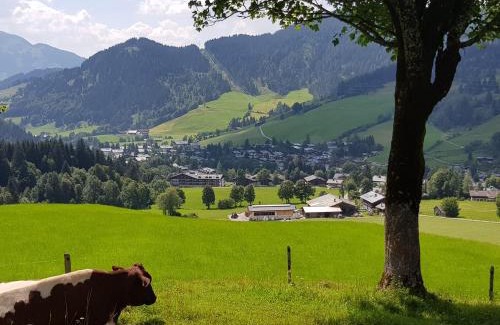 Hinterthal Apartment | Haus Sonnleiten
