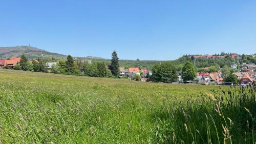 Braunlage Apartment | Haus auf dem Berg