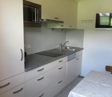 Radstadt Apartment | Haus Buchsteiner