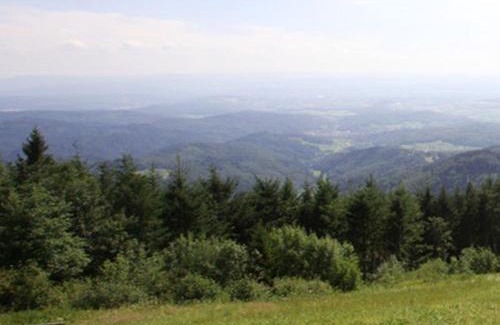 Badenweiler Apartment | Haus Burgblick